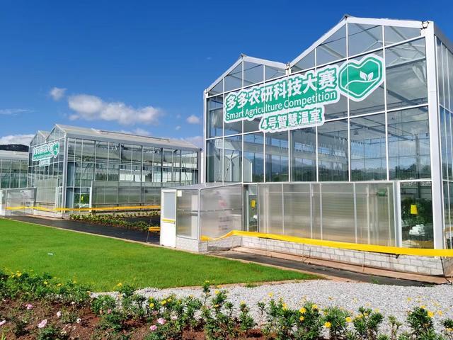 &ldquo;智慧農(nóng)業(yè)&rdquo;拉動(dòng)引擎，拼多多助鄉(xiāng)村振興