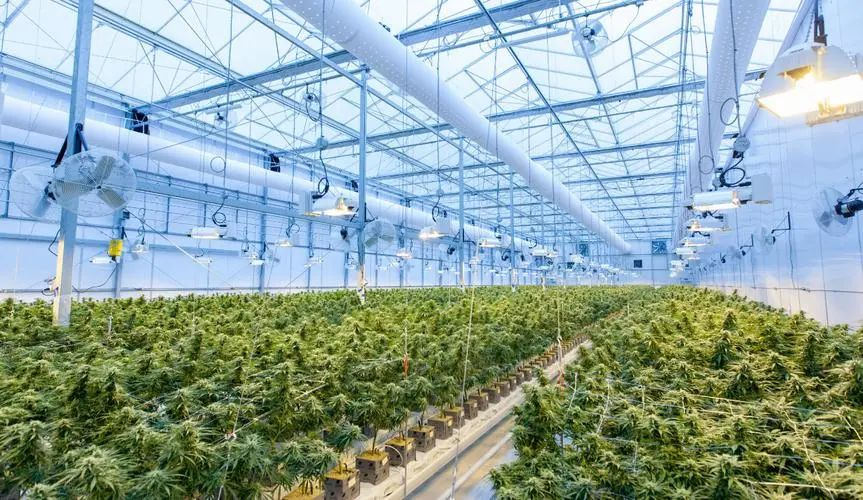 驅(qū)動(dòng)未來(lái)農(nóng)業(yè)蓬勃發(fā)展的四大關(guān)鍵技術(shù)