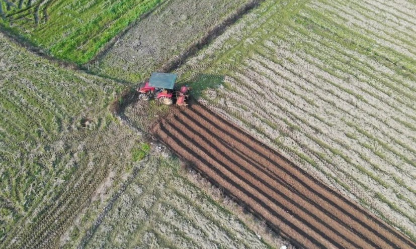 2022耕地地力保護(hù)補(bǔ)貼各地新標(biāo)準(zhǔn)，一畝補(bǔ)多少錢(qián)？速看