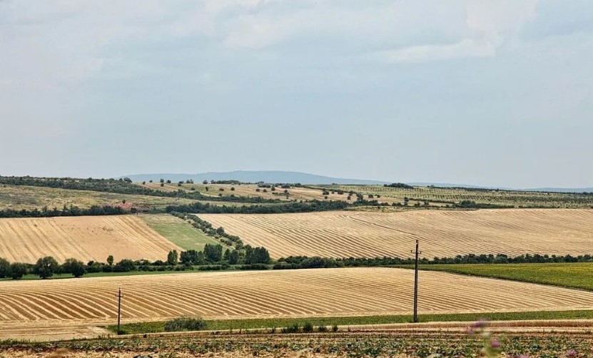 2022耕地地力保護(hù)補(bǔ)貼各地新標(biāo)準(zhǔn)，一畝補(bǔ)多少錢(qián)？速看