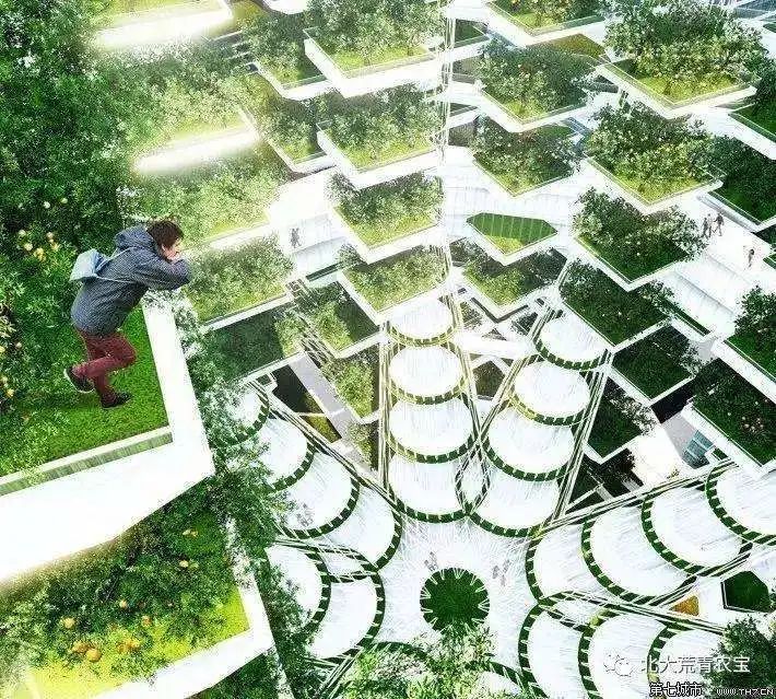 資本青睞的“垂直農(nóng)業(yè)”，能代表農(nóng)業(yè)的未來嗎？