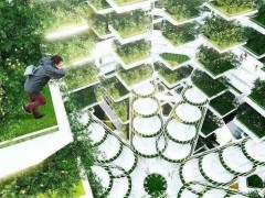 資本青睞的“垂直農(nóng)業(yè)”，能代表農(nóng)業(yè)的未來(lái)嗎？