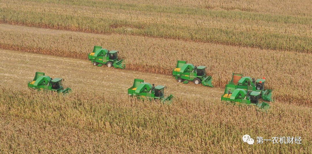 能源糧食價(jià)格高漲 數(shù)十國陷政治經(jīng)濟(jì)危機(jī)