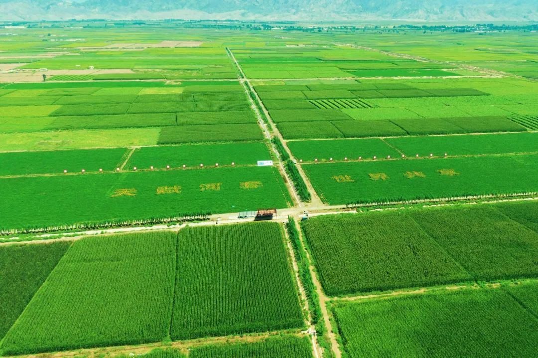 《高標(biāo)準(zhǔn)農(nóng)田建設(shè)通則》國(guó)家標(biāo)準(zhǔn)發(fā)布