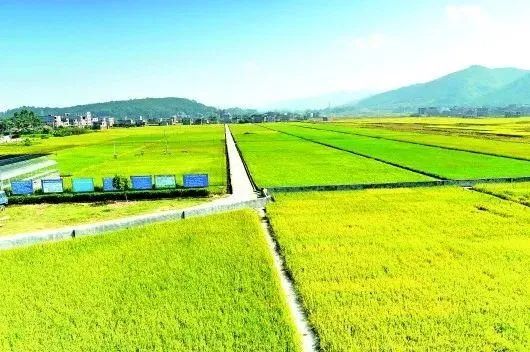 《高標(biāo)準(zhǔn)農(nóng)田建設(shè)通則》國(guó)家標(biāo)準(zhǔn)發(fā)布