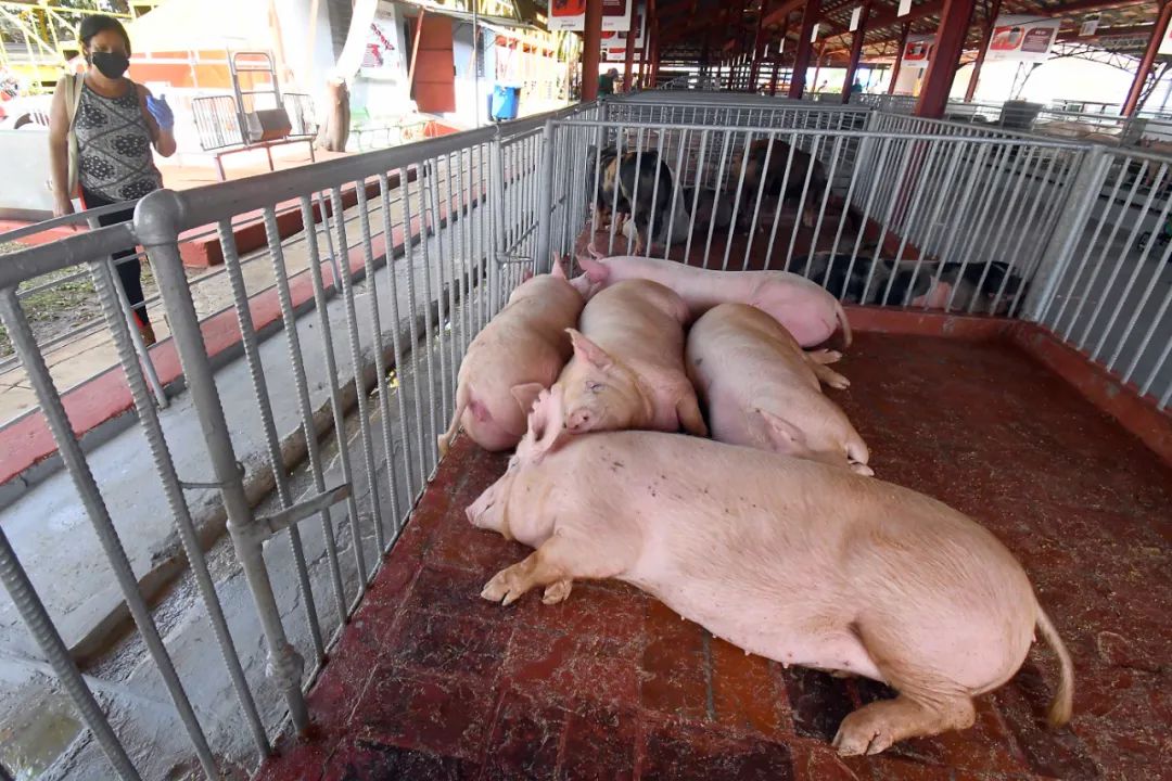 俄烏局勢對(duì)主要農(nóng)產(chǎn)品國際市場與貿(mào)易的影響有哪些？