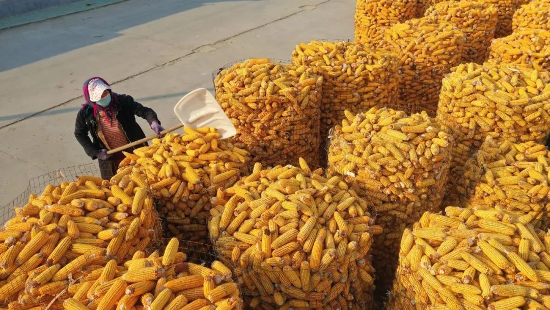 【報(bào)告解讀】未來十年，農(nóng)產(chǎn)品市場(chǎng)變局如何？