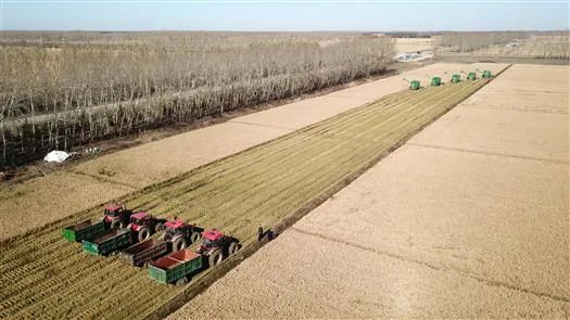 進一步保護黑土地 向中低產(chǎn)田要效益