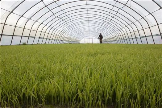 進一步保護黑土地 向中低產(chǎn)田要效益