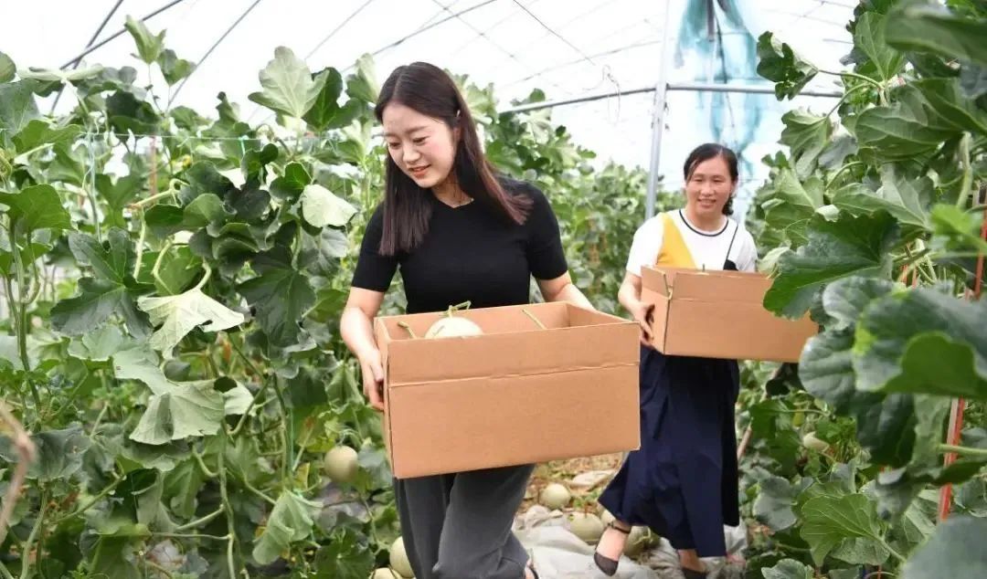 【縣域農(nóng)業(yè)】縣域是未來農(nóng)業(yè)品牌建設的主戰(zhàn)場！