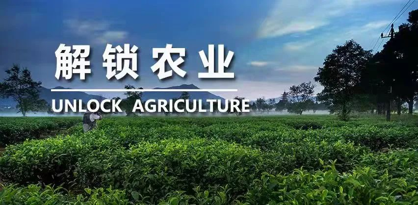 《2022農(nóng)業(yè)農(nóng)村產(chǎn)業(yè)發(fā)展重大技術(shù)需求》發(fā)布