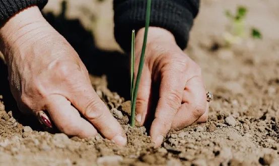 高端農(nóng)產(chǎn)品的直銷模式：農(nóng)場會(huì)員體系