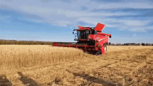 國內首款智能 大型 喂入量15公斤谷物聯(lián)合收割機在中國一拖研制成功