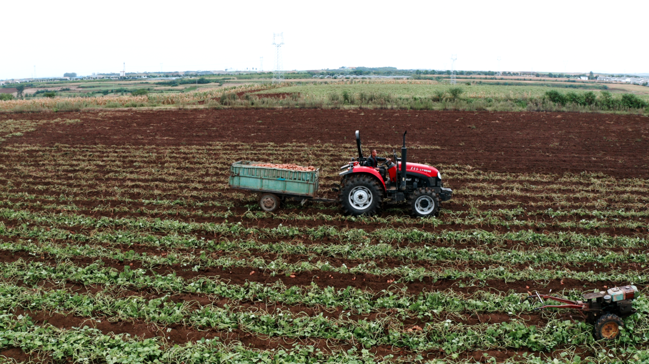 宜城紅薯：新電商怎么“生生造出”一個(gè)新產(chǎn)業(yè)？