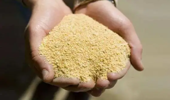 豆粕減量成農業(yè)增效突破口