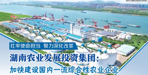 湖南農業(yè)發(fā)展投資集團：加快建設國內一流綜合性農業(yè)企業(yè)