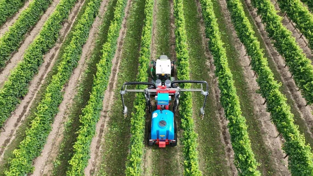 EIMA 2022技術(shù)創(chuàng)新獎(jiǎng)釋出，自主性和環(huán)境友好產(chǎn)品受青睞