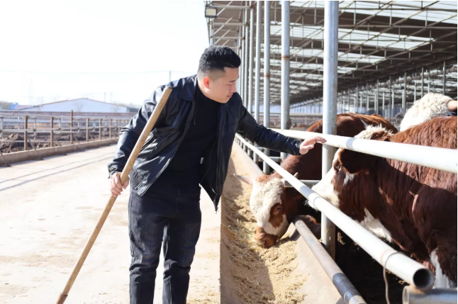 12.6萬“新新農(nóng)人”的回鄉(xiāng)務(wù)農(nóng)新方式