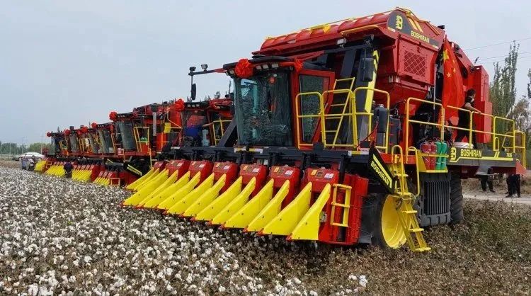 進(jìn)口采棉機曾受國外斷供，國產(chǎn)化替代讓中國棉農(nóng)挺起脊梁
