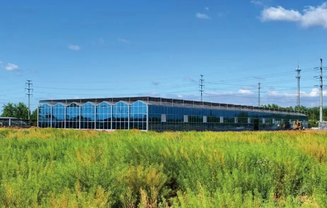 2023年農業(yè)農村部重點扶持的28類項目