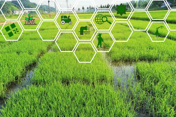 農(nóng)業(yè)機器人來到應(yīng)用窗口期，助力未來百億人口糧食安全