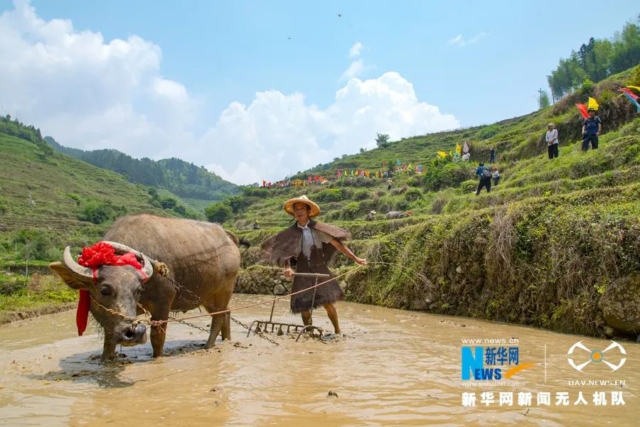 王克修：共同加強(qiáng)“農(nóng)業(yè)文化遺產(chǎn)保護(hù)”