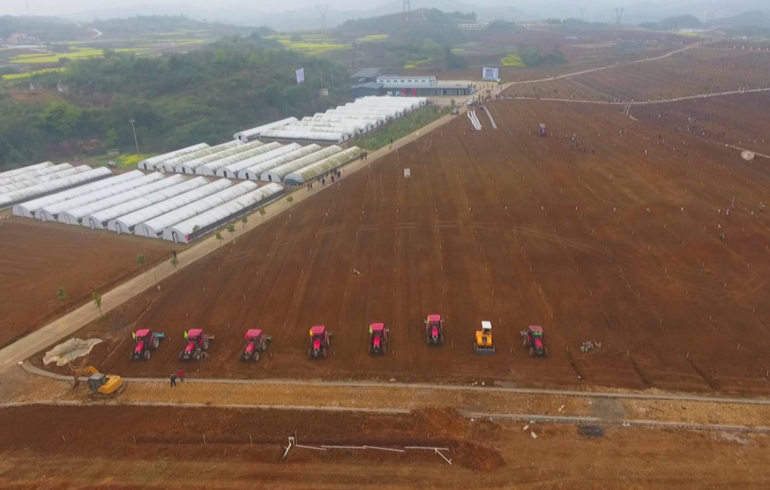 中央一號文件發(fā)布：強(qiáng)化農(nóng)業(yè)科技和裝備支撐