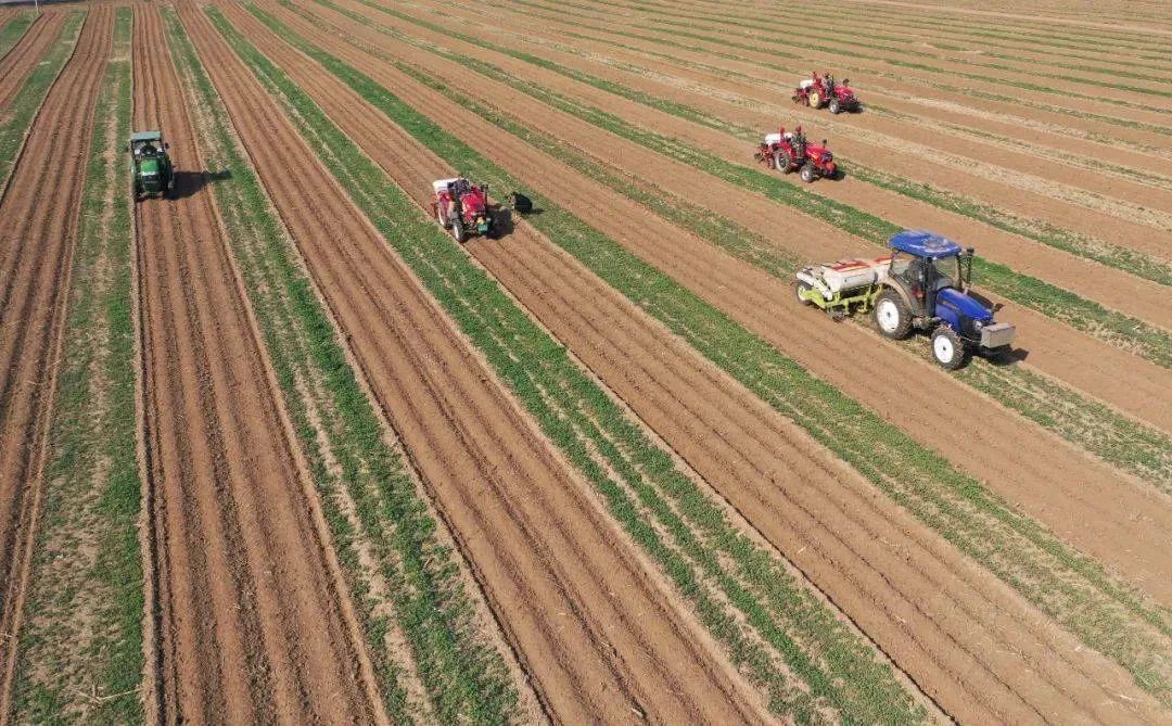 中央一號文件發(fā)布：強(qiáng)化農(nóng)業(yè)科技和裝備支撐