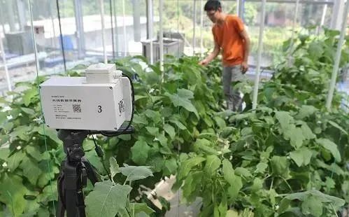 【農(nóng)業(yè)模式】農(nóng)產(chǎn)品銷售創(chuàng)新點在哪里？十種新模式助力未來農(nóng)業(yè)