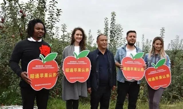 【農(nóng)業(yè)模式】農(nóng)產(chǎn)品銷售創(chuàng)新點在哪里？十種新模式助力未來農(nóng)業(yè)