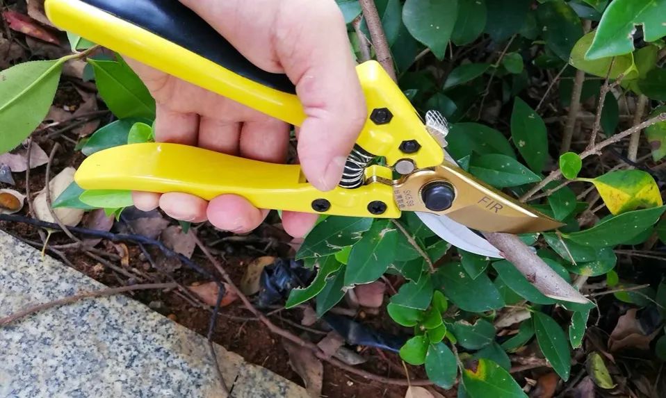 2023年中央一號文件解讀：加緊研發(fā)園藝機械應(yīng)該如何理解？