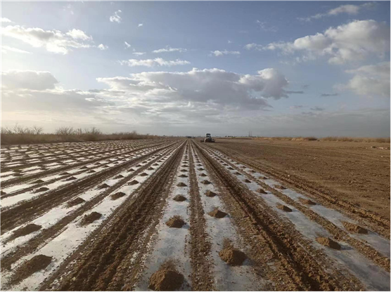 農(nóng)機(jī)裝北斗 種田更輕松 農(nóng)業(yè)更智慧