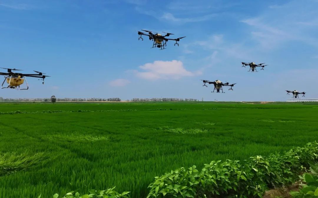 農(nóng)作物病蟲害是影響農(nóng)作物穩(wěn)產(chǎn)增產(chǎn)的重要因素，科學(xué)有效防控是保單產(chǎn)、穩(wěn)總產(chǎn)的關(guān)鍵舉措。