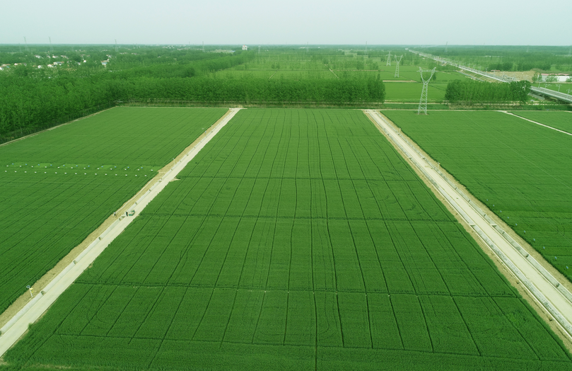 【聚焦高標(biāo)準(zhǔn)農(nóng)田】投資高標(biāo)準(zhǔn)農(nóng)田建設(shè) 實現(xiàn)多贏發(fā)展