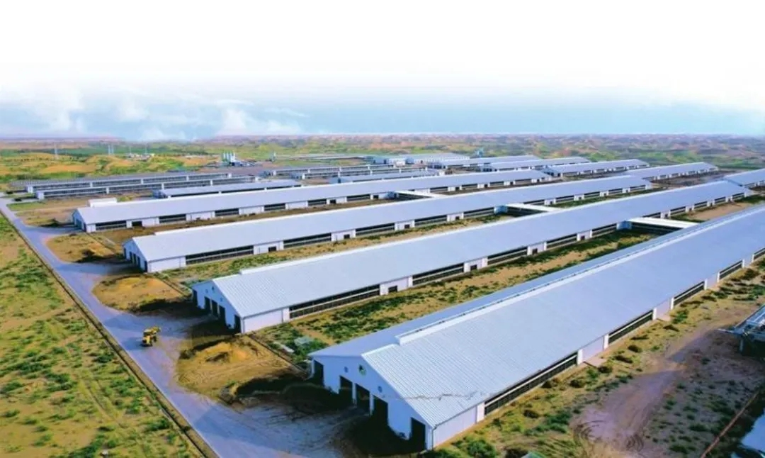 【鄉(xiāng)村振興】產(chǎn)業(yè)集群如何助推鄉(xiāng)村振興