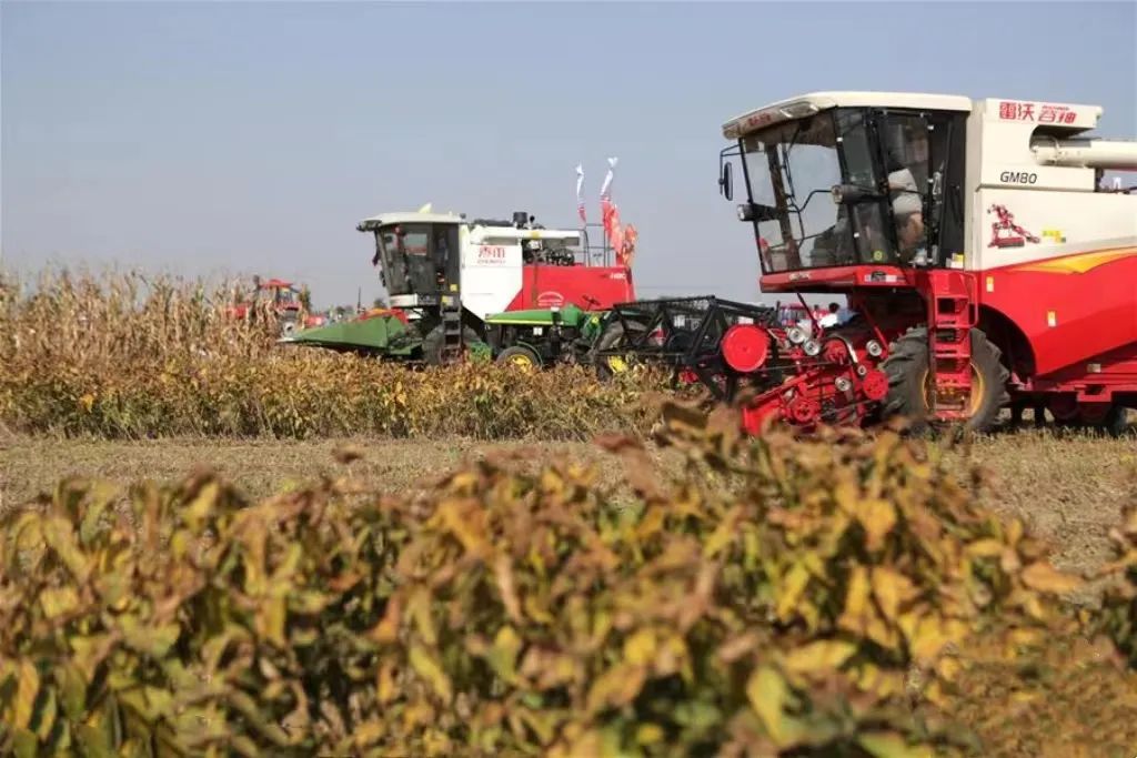 農(nóng)機手培訓(xùn)納入專項行動！農(nóng)業(yè)農(nóng)村部部署一項重要工作