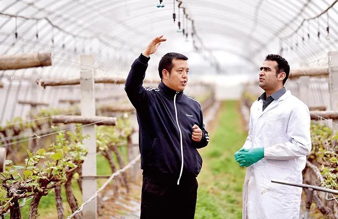 楊凌農高區(qū)：中國現(xiàn)代農業(yè)的“支點”