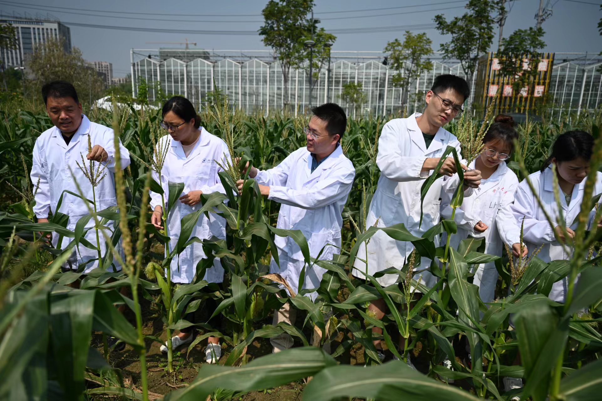 農(nóng)業(yè)科技能否迎來投資風(fēng)口？