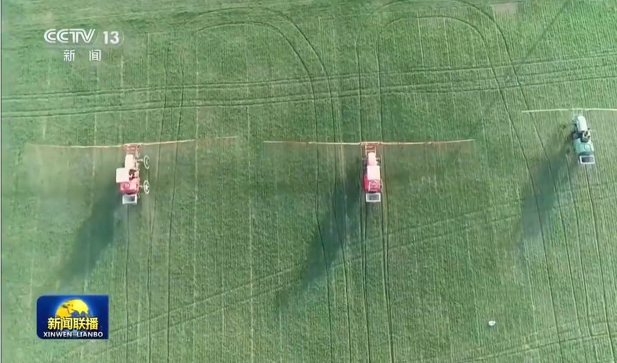 我國確定2024年糧食生產(chǎn)總體目標