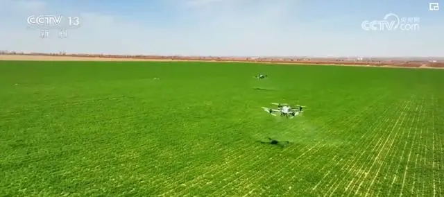 央視網(wǎng)：一季度我國農(nóng)業(yè)農(nóng)村經(jīng)濟保持良好發(fā)展勢頭