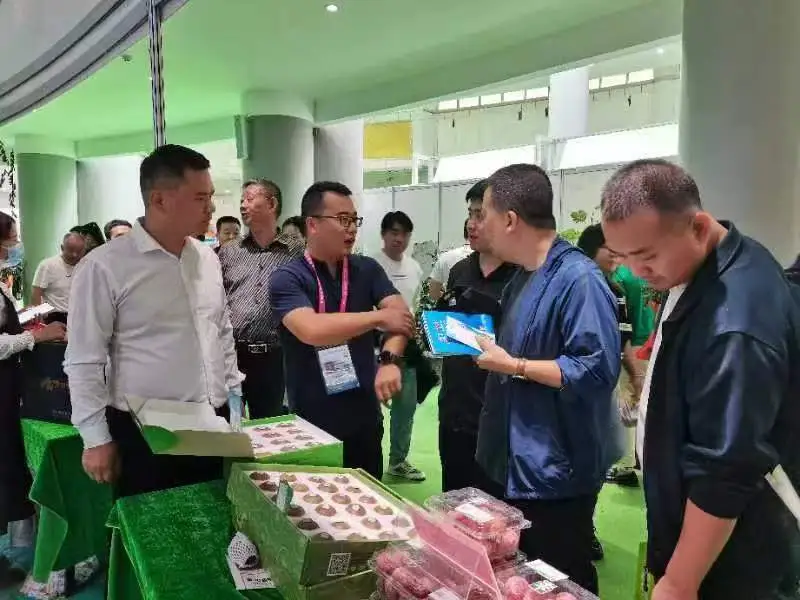 鄉(xiāng)村行·看振興 | 掛職博士實干謀振興