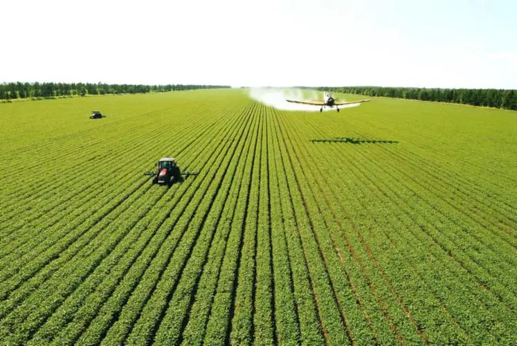 強(qiáng)化科技賦能 各地力促秋糧穩(wěn)產(chǎn)豐產(chǎn)